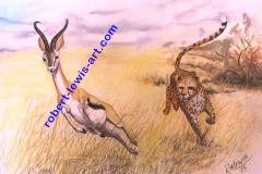 Springbock-U.-Gepard-