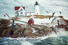 Cape Nedic Maine